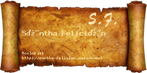 Sántha Felicián névjegykártya